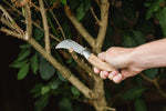 Load image into Gallery viewer, K&amp;S PRUNING KNIFE
