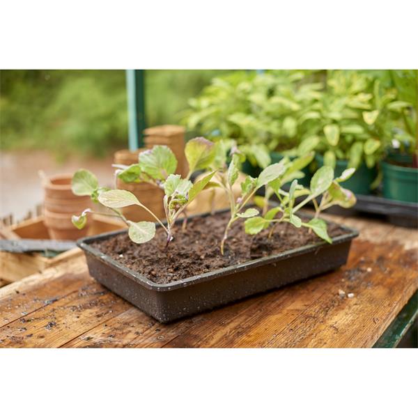 Stewarts Essentials Seed Tray, reusable, lightweight, stackable, 100% recycled plastic, ideal for seedlings – Keans