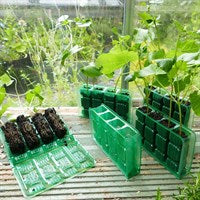 Gro-Sure Visiroot 4 Cell Deep 12 Pack - transparent green rPET, visible roots, deep 12cm cells, durable, recyclable - Keans