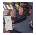 Load image into Gallery viewer, Weber iGrill2 App connected thermometer
