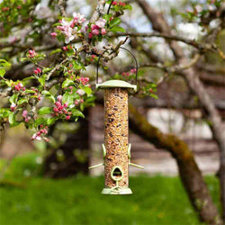 Twist Top Seed Feeder 30cm for birds, durable design, easy refill - available at Keans Claremorris