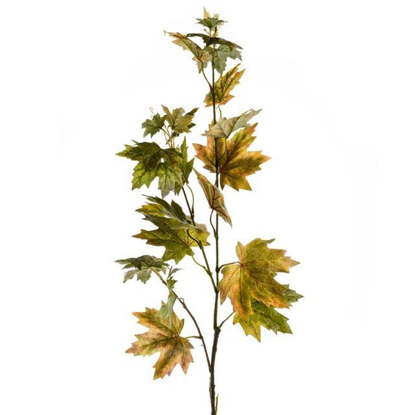Maple Leaf Branch - KeansClaremorris