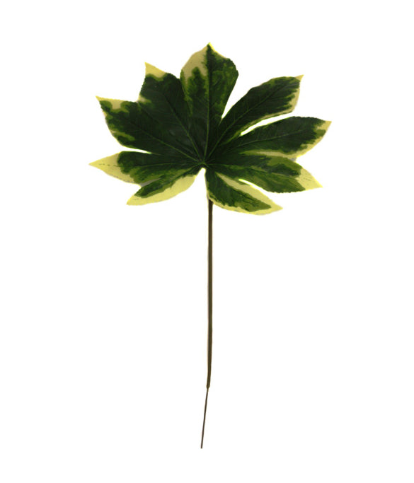 Artificial Variegated Aralia Leaf 61cm, detailed green foliage, realistic look – Keans Claremorris