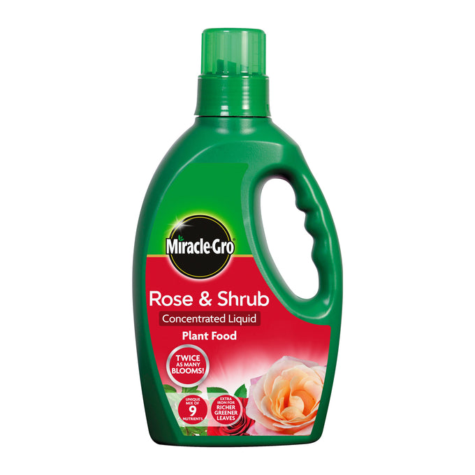 Miracle Gro Rose & Shrub Liquid Feed 1L, improved concentrated formula, child and pet friendly, fast-acting plant food –