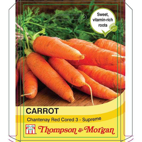Carrot Chantenay Red Cored 3 - crisp, sweet, high Vitamin C, early sowing, continuous crop | Keans Claremorris