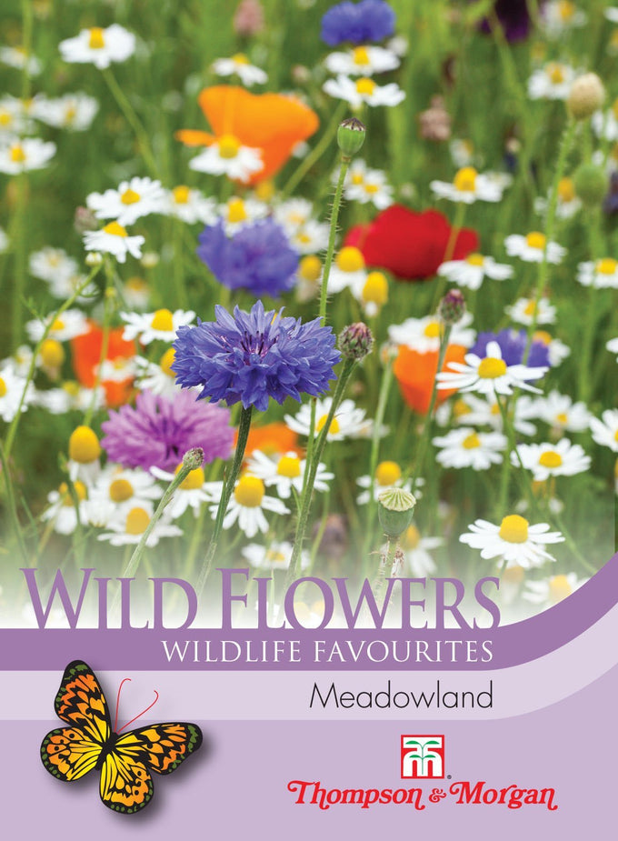 Wild Flower Meadowland Ayr bouquet with vibrant wildflowers, available at Keans Claremorris.
