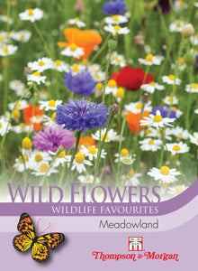 Wild Flower Meadowland Ayr