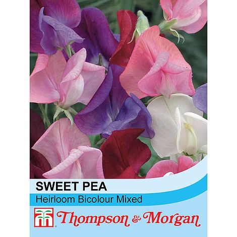 Sweet Pea Heirloom Bicolour Mix  S9-M3