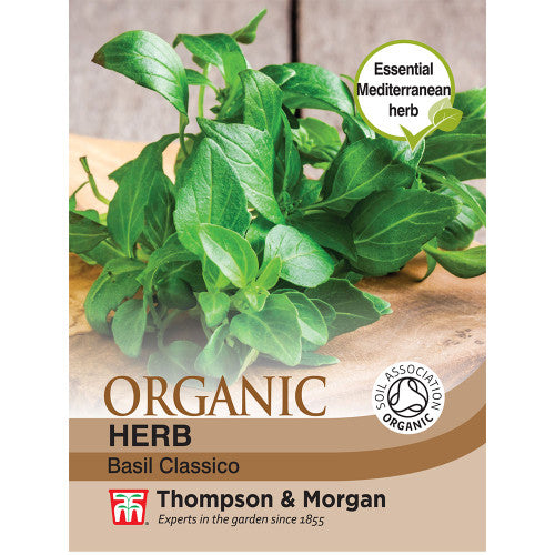 Herb Basil Classico (Organic) Ayr