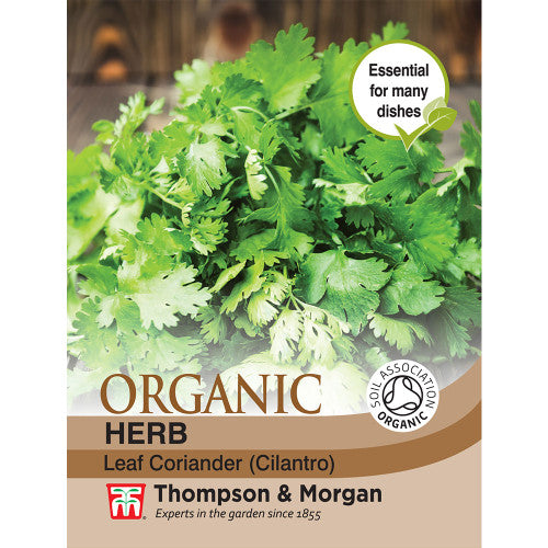 Herb Coriander Leaf (Organic) Ayr