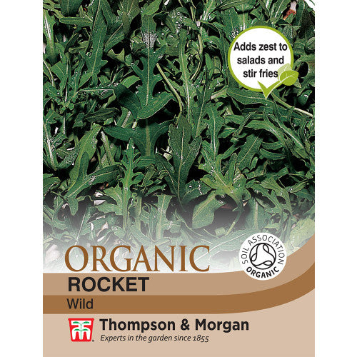 Herb Rocket Wild (Organic) Ayr