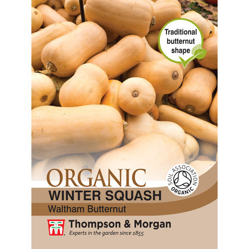 Squash Waltham Butternut (Winter) (Organic) M3-M5