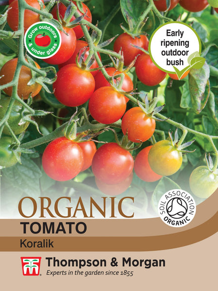 Tomato Koralik (Organic) J1-A4