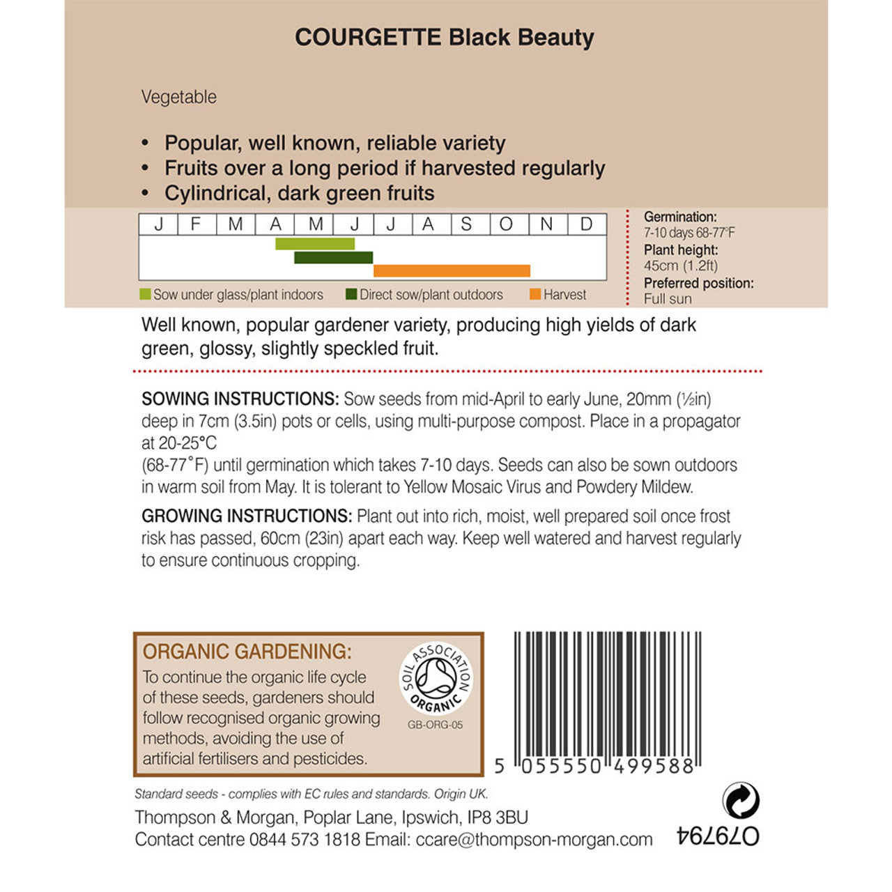 Courgette Black Beauty (Organic) M3-M5