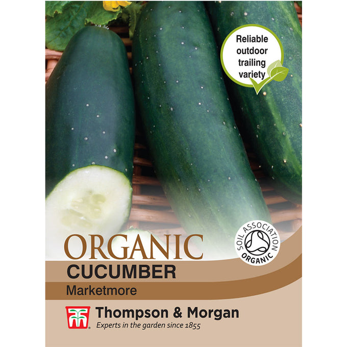 Organic Cucumber Marketmore F2-M5, RHS AGM winner, crisp long cucumbers, 3m tall, ideal for salads – Keans Claremorris