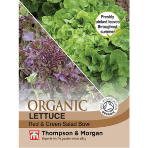 Lettuce Red & Green Salad Bowl (Organic) F2-J7