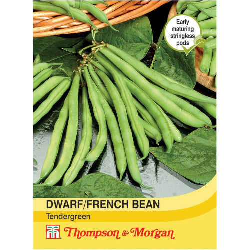 Dwarf Bean Tendergreen A4-J7