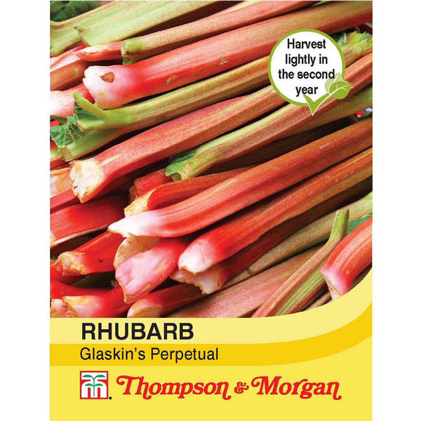 Rhubarb J1-A4