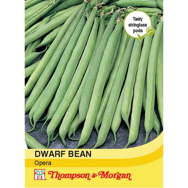 Dwarf Bean Opera A4-J7 - early maturing, stringless dark green pods, disease resistant, 75 seeds | Keans Claremorris