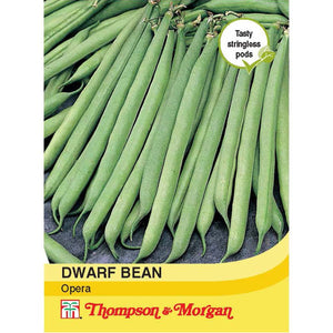 Dwarf Bean Opera A4-J7