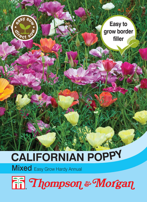 Californian Poppy Mixed S9-M5