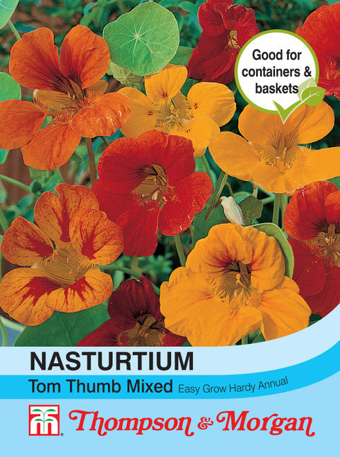 Nasturtium Tom Thumb Mixed F2-M5 dwarf plants with vibrant single flowers, 15-23cm tall, 40 seeds - Keans Claremorris