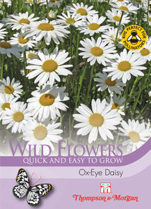 Wild Flower Ox- Eye Daisy S9-M5