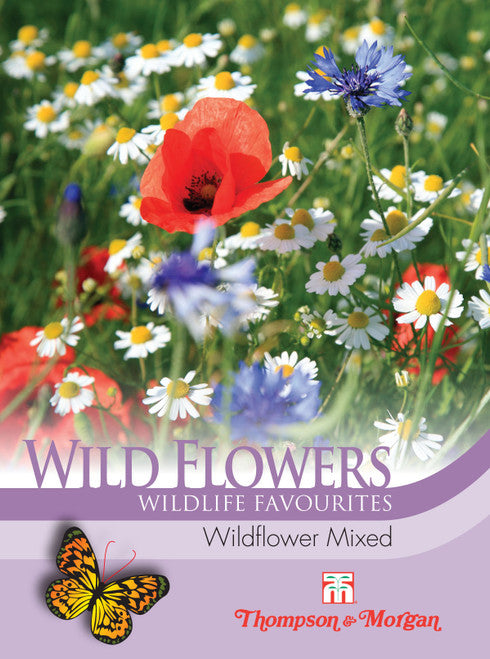 Wild Flower Mixture Ayr