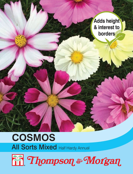 Cosmos All Sorts Mixed F2-A4