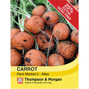 Carrot Paris Market 5 - Atlas