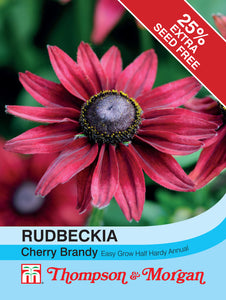 Rudbeckia Cherry Brandy F2-A4
