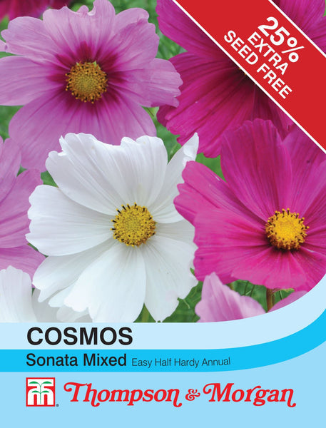 Cosmos Sonata Mixed F2-A4 vibrant large fringed flowers, 2-8 inches, long-lasting garden display - Keans Claremorris
