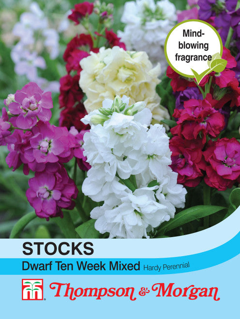 Stocks Dwarf Ten Week Mixed J1-M5