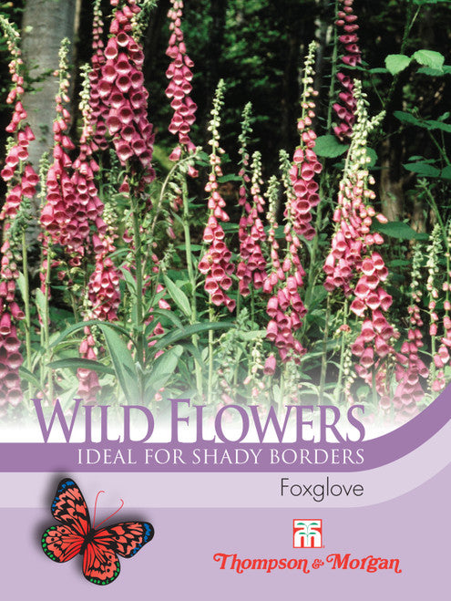 Wild Flower Foxglove J6-F2
