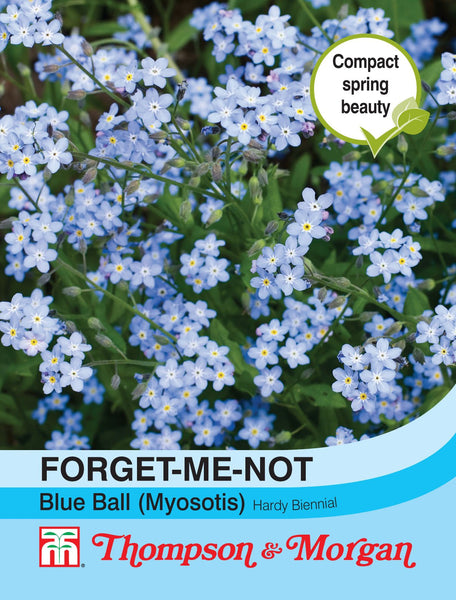 Forget-Me-Not Blue Ball (Myosotis) compact bright blue flowers, spring bloom, 450 seeds – Keans Claremorris