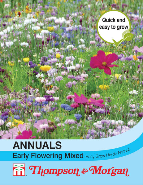 Annual Early Flowering Mixed A4-M5 seeds for quick border blooms, nectar-rich, flowers June-Sept | Keans Claremorris