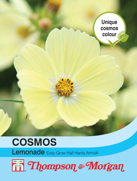 Cosmos Lemonade F2-A4 natural lemon juice, preservative-free, fruity sweetness, refreshing drink - Keans Claremorris