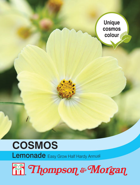 Cosmos Lemonade F2-A4