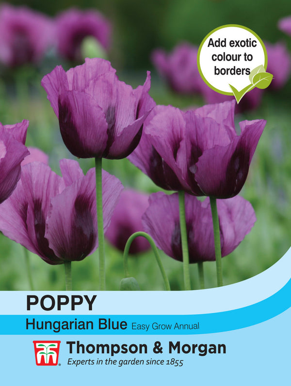 Poppy Hungarian Blue  F2-J6