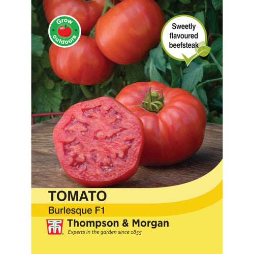 Tomato Burlesque F1 hybrid plant with large, sweet beefsteak tomatoes, blight tolerant, ideal for greenhouse or outdoor