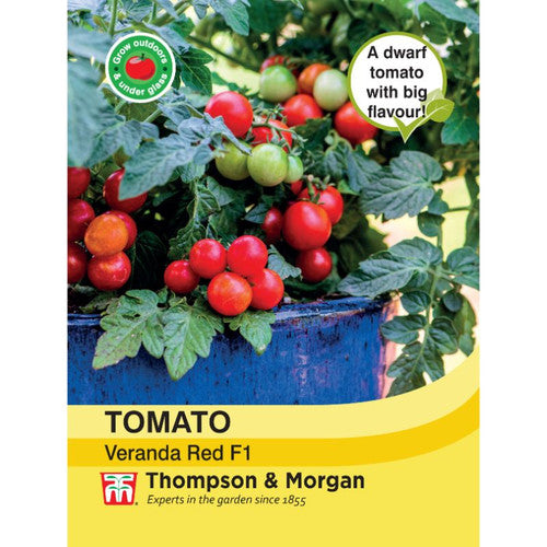 Tomato Veranda Red F1 dwarf bush tomato, sweet early fruit, disease resistant, ideal for pots and containers - Keans