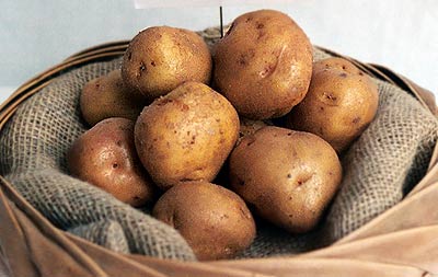 British Queen Seed Potatoes UK/NI 3740/3847- - 2KG