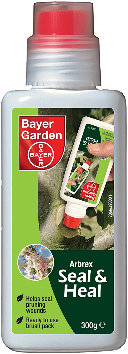 Bayer Garden Arbrex Seal & Heal 300g pruning paint with brush, seals cuts, protects trees from pests, organic-friendly –
