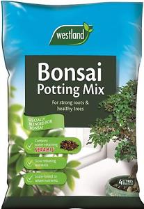 Bonsai Potting Mix 4L with Seramis granules for optimal water, aeration, and nutrient balance – Keans Claremorris local