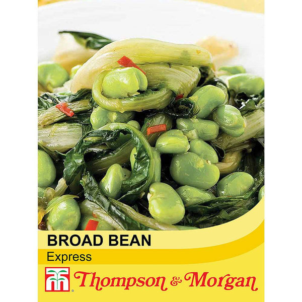 Broad Bean Express S9-A4