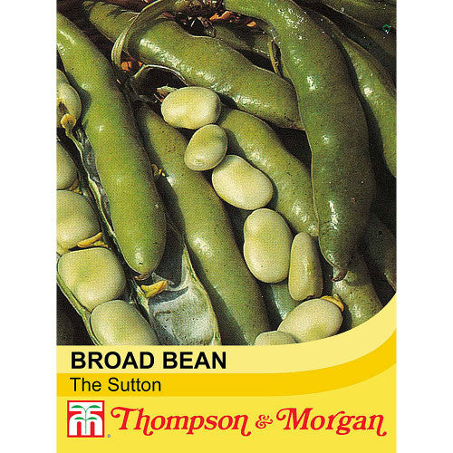 Broad Bean The Sutton S9-A4