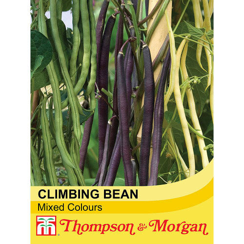 Climbing Bean Mixed Colours A4-J6