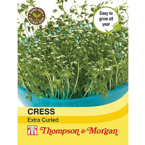 Fresh Extra Curled Cress leaves, nutritious salad crop, easy to grow year-round – Keans Claremorris