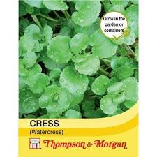 Fresh dark green watercress leaves, rich in vitamins, perfect for salads and sandwiches – Keans Claremorris.