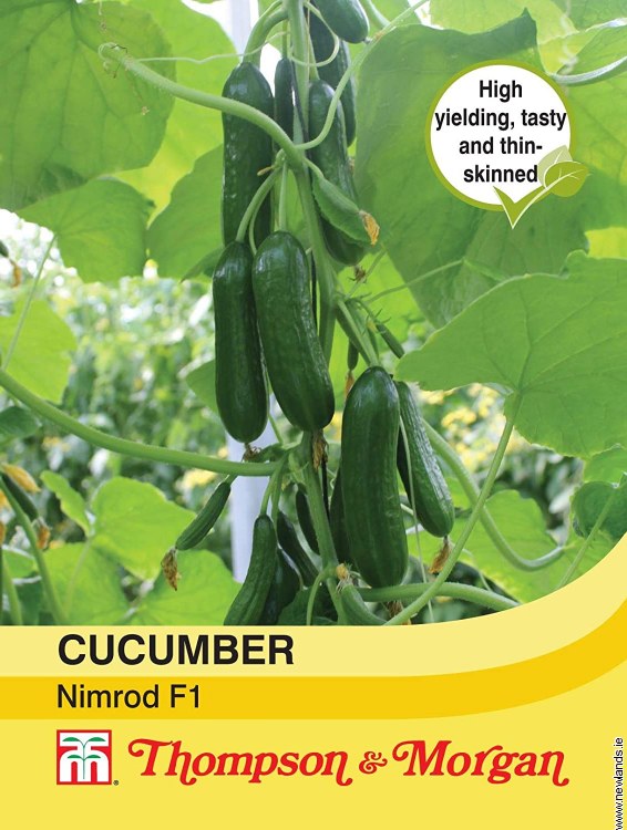 Cucumber Nimrod F1